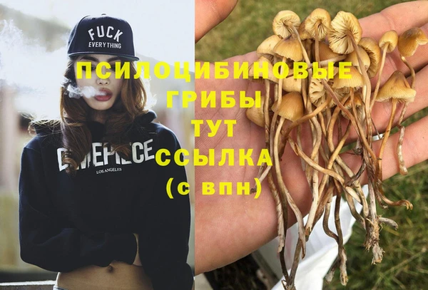 тгк Осташков