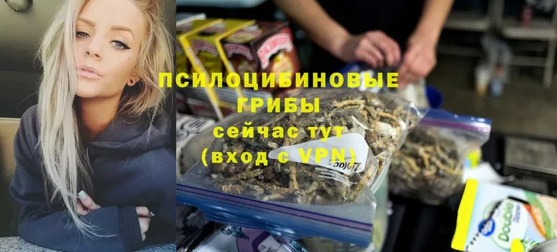 блэк спрут ССЫЛКА  Островной  Псилоцибиновые грибы MAGIC MUSHROOMS 